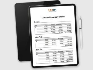 Contoh laporan keuangan UMKM